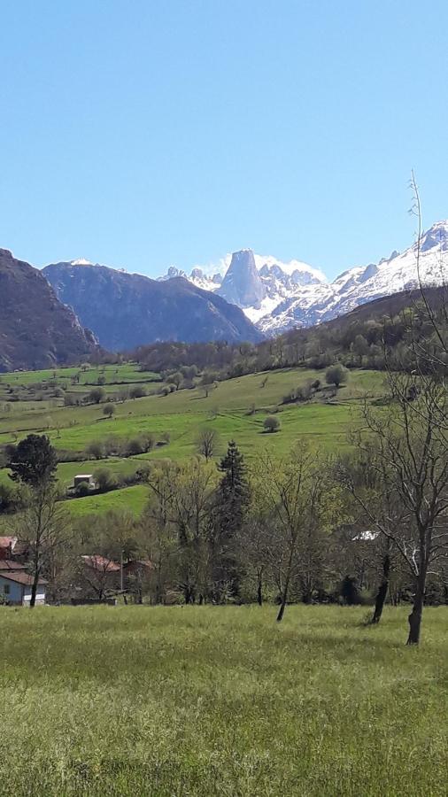 La Casa De La Vega Βίλα Arenas De Cabrales Εξωτερικό φωτογραφία